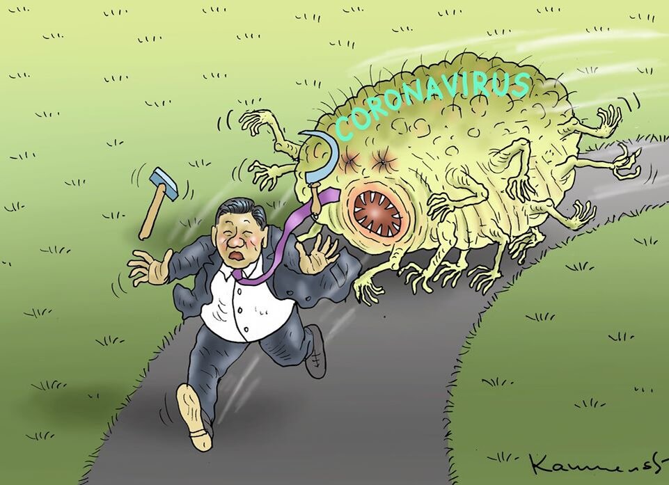 Яндекс коллекция