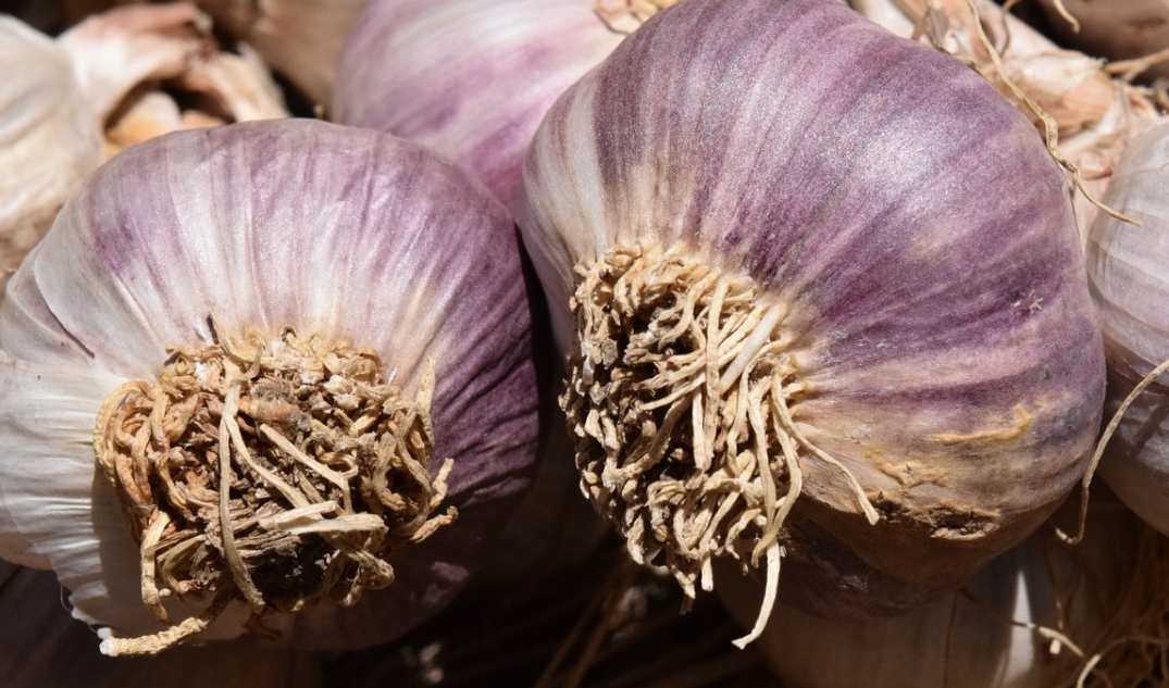                                                                                   Будьте здоровы!