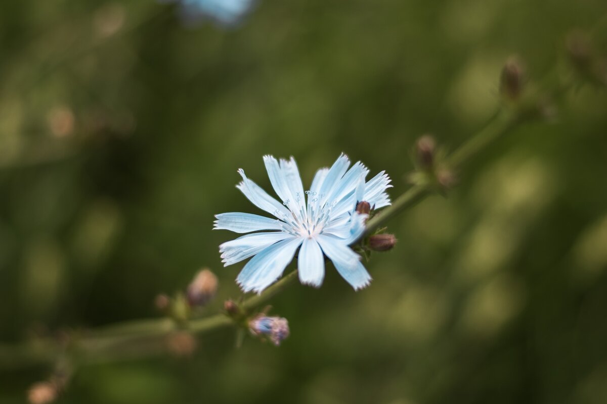 Осеннее  поле