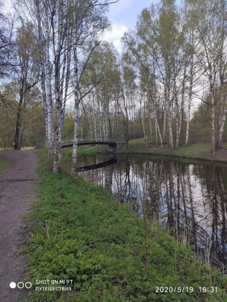 В парке. Фото автора