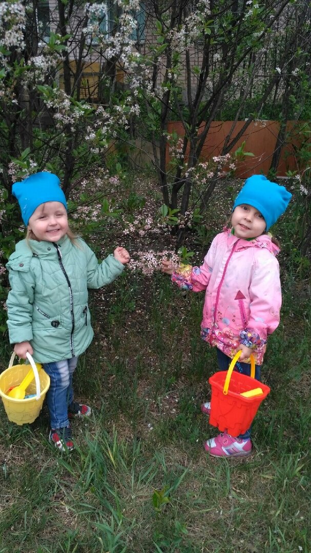 Мои малышки любят гулять по траве