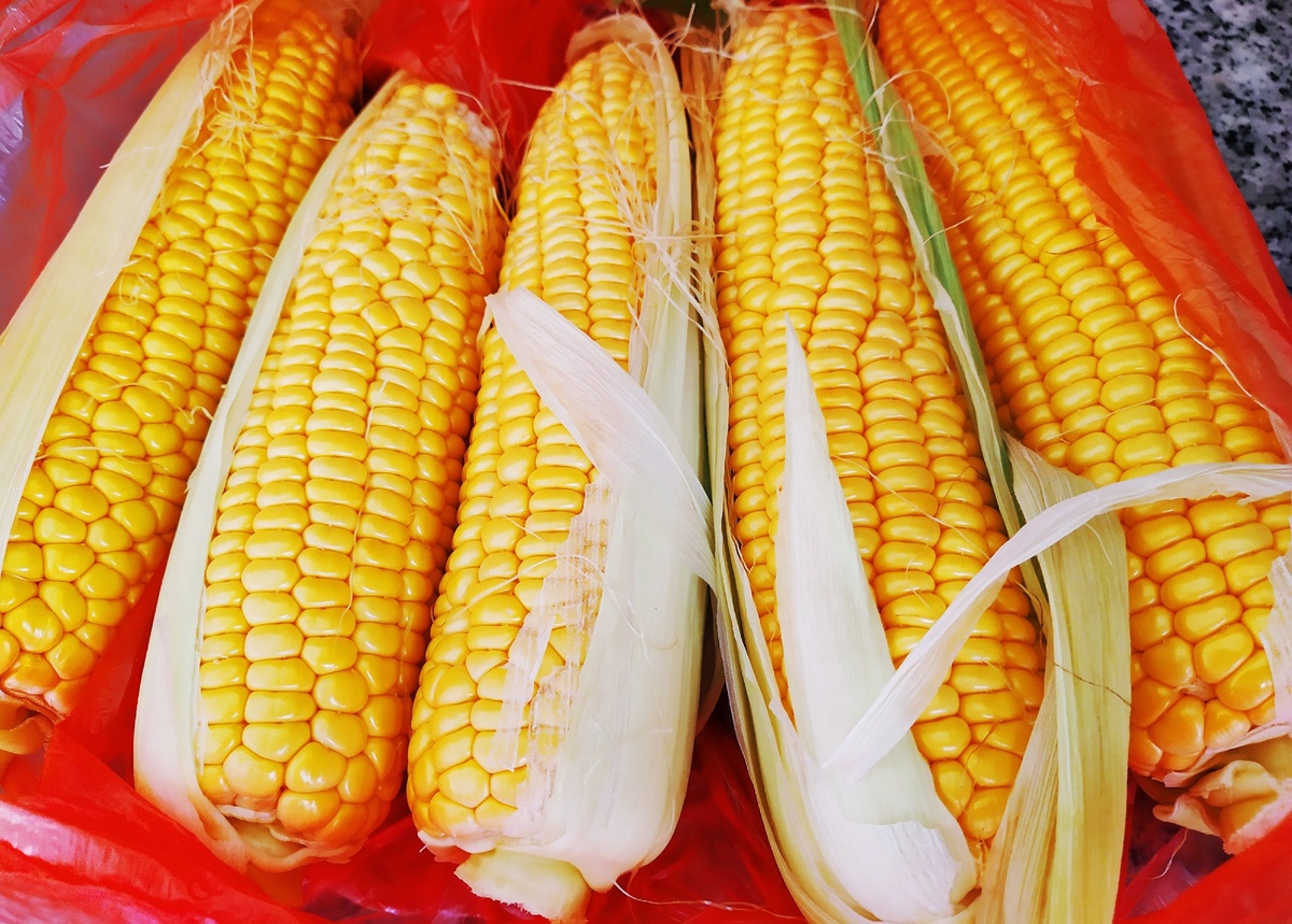 Молодая кукуруза. Уже продаётся на рынках.