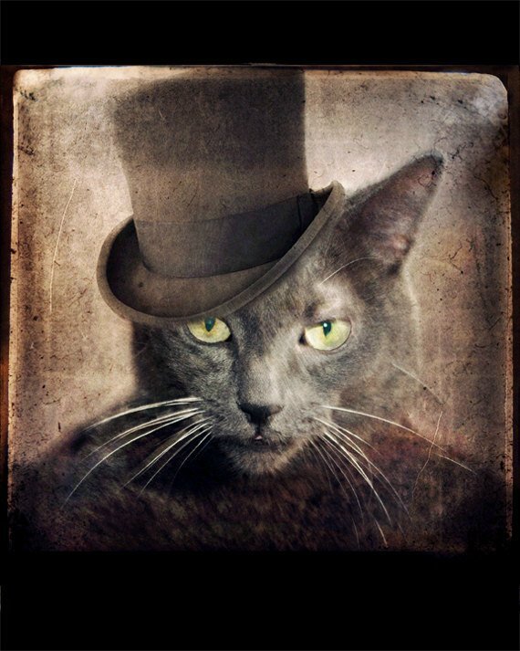 источник картинки интернет https://s019.radikal.ru/i615/1206/a4/970fec8b1cf5.jpg