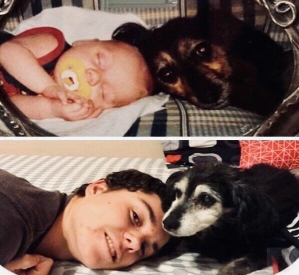 Взято в открытых источниках.