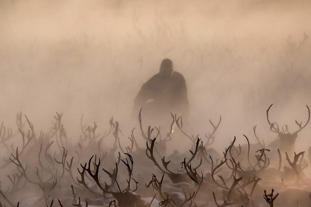 С естественным светом
