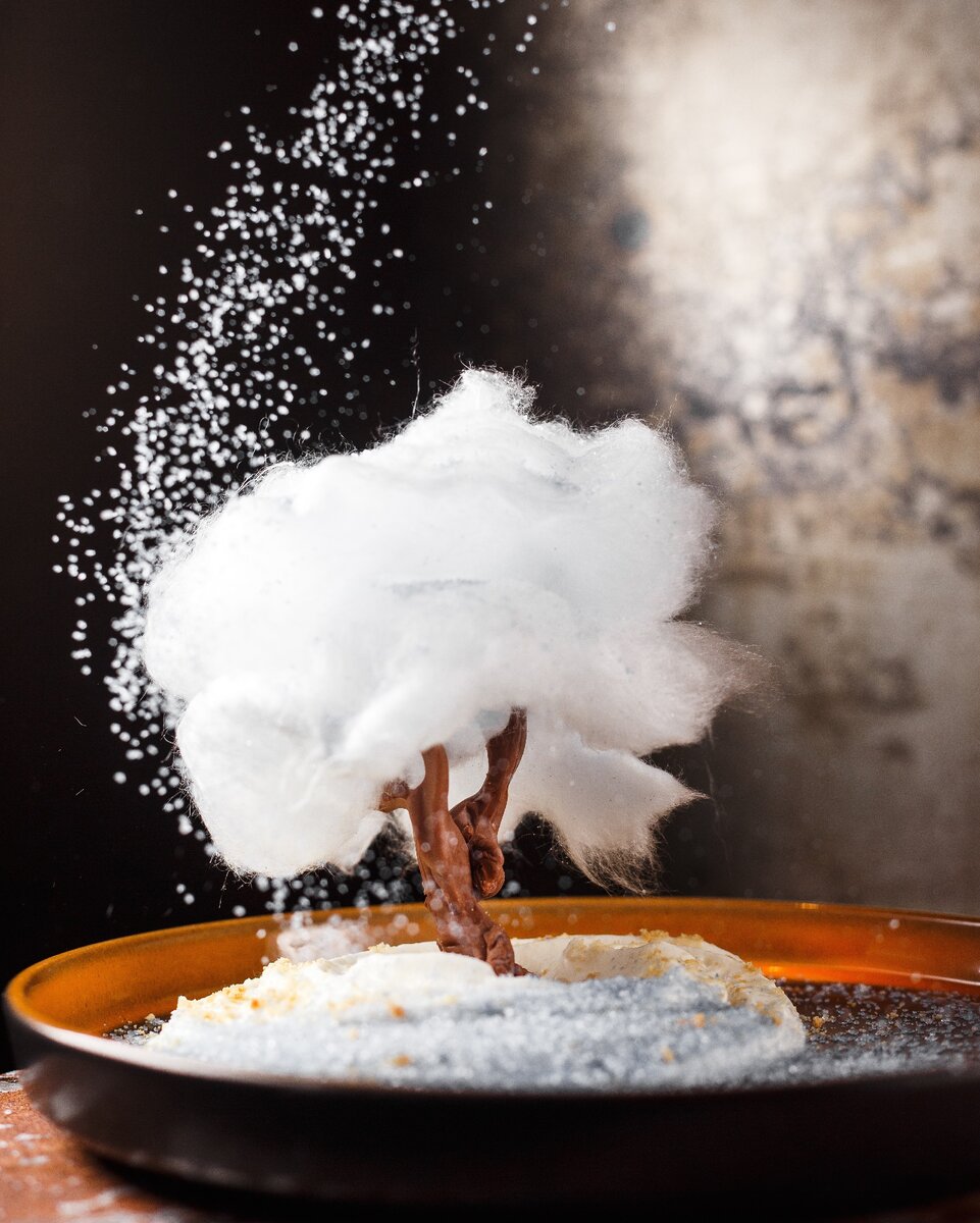 Шоколадное дерево с лавандовым муссом