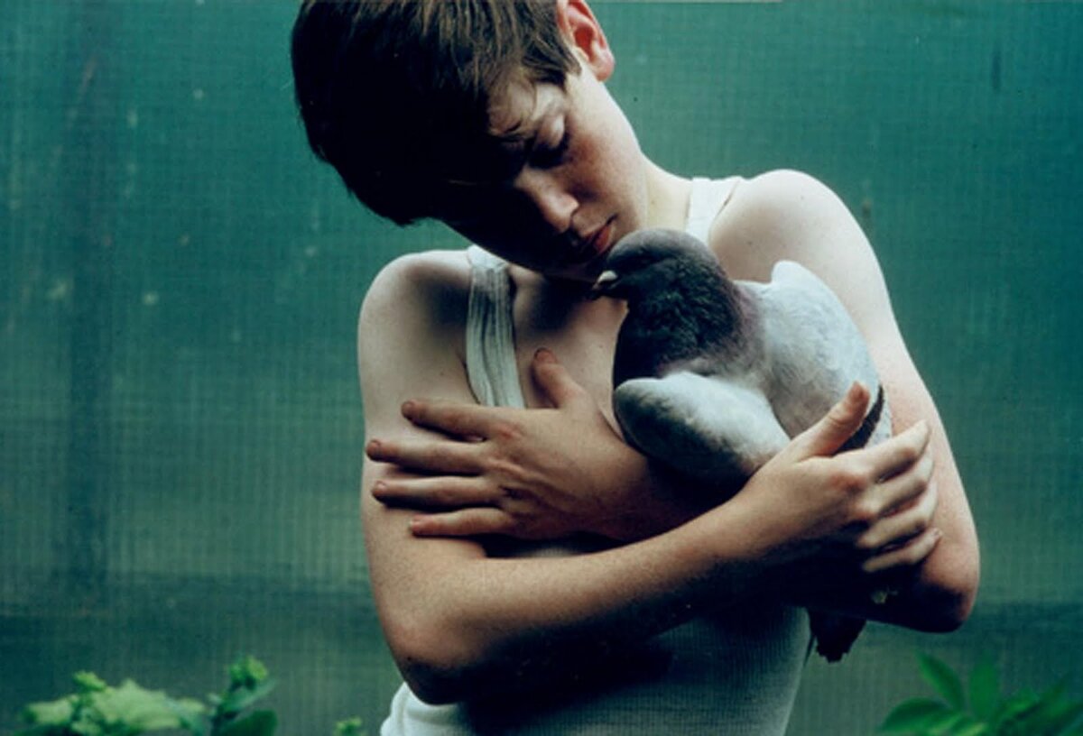 Фото из открытых источников.