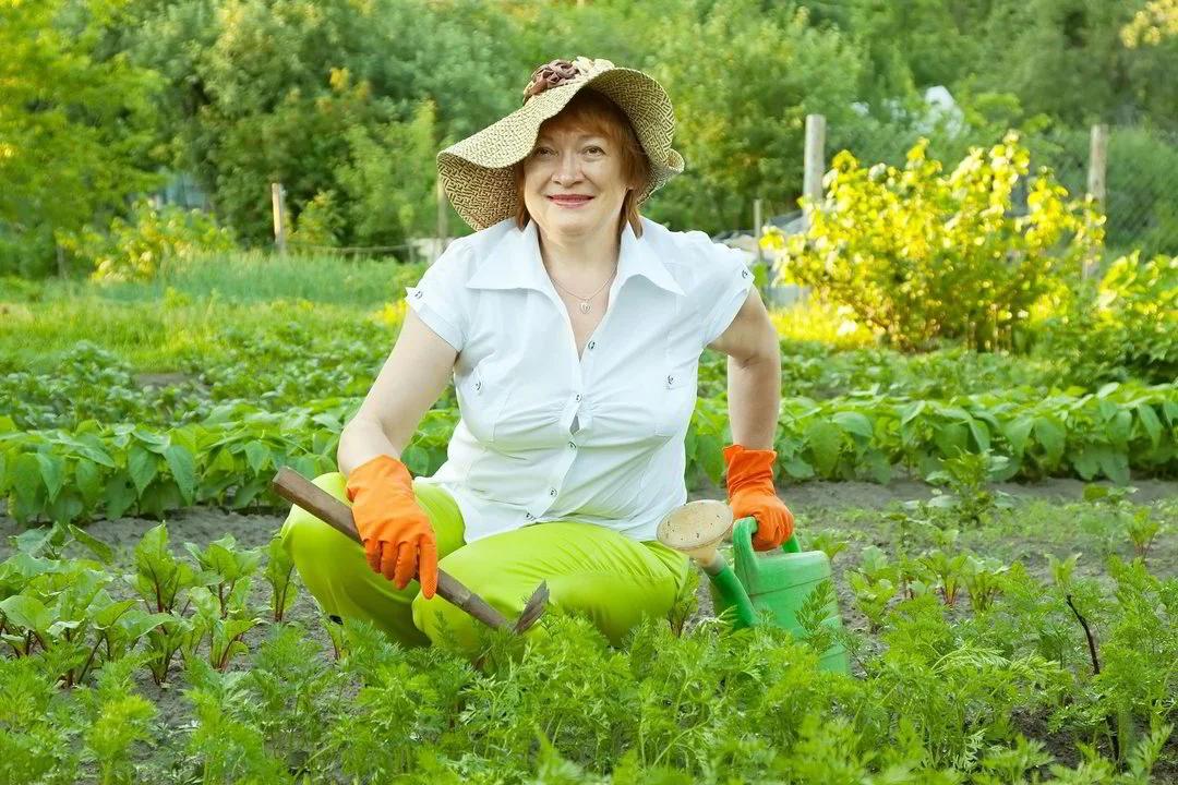 Фото взято из ян декс картинок