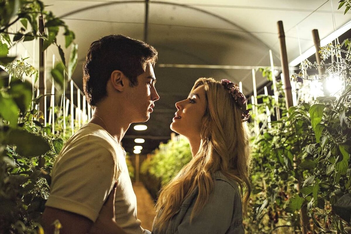 Романтический момент между Тето и Паулой в теплице / источник фото: Инстаграм Джованны Ланселлоти