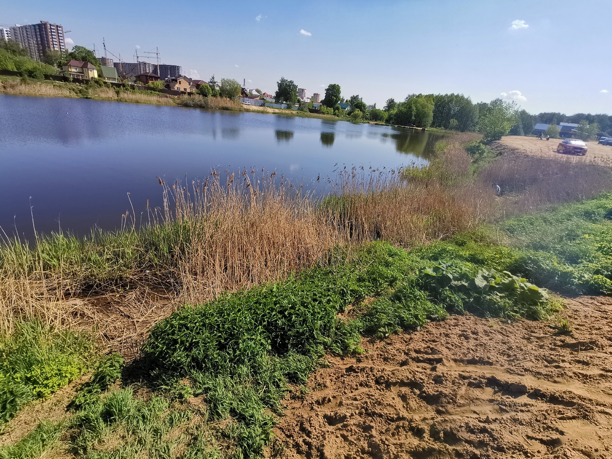 Если в друг захочется покормить уточек есть пруд) 