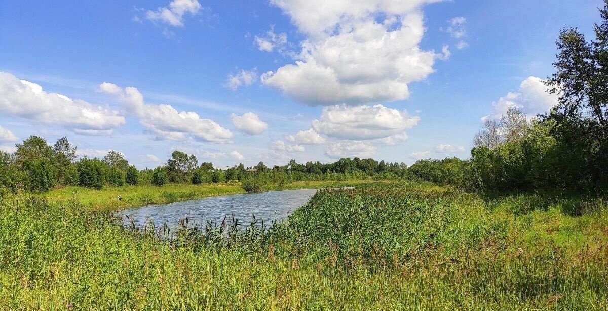 Борисово череповецкий район. Финская деревня череповецкий район. Деревня музга череповецкий район. Деревня музга череповецкий район фото. Ильинское улица садовая, дом 14.
