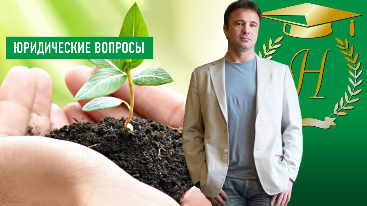 Юрист Сергей А.Носов «Меры поддержки бизнеса в Санкт-Петербурге в период пандемии»