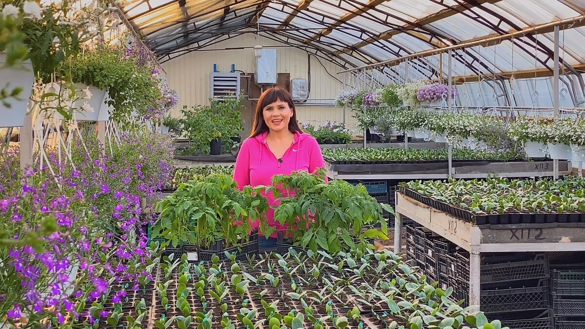 Фото Марина Патрина zacvetet