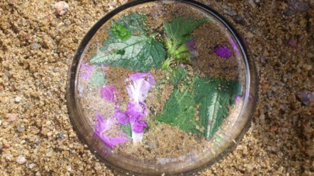 Секретик под стеклом. Секретики под стеклышком в земле. Секретики в земле под стеклом. Секретик под стеклом. Секретики в песке.