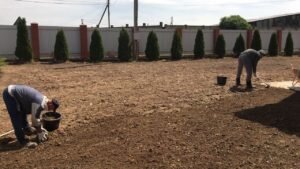 Подготовка участка для посева газона