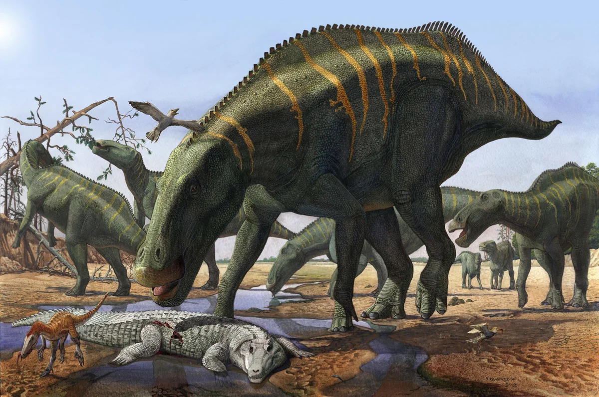Динозавры это животные. Шантунгозавр динозавр. Шантунгозавр палеоарт.