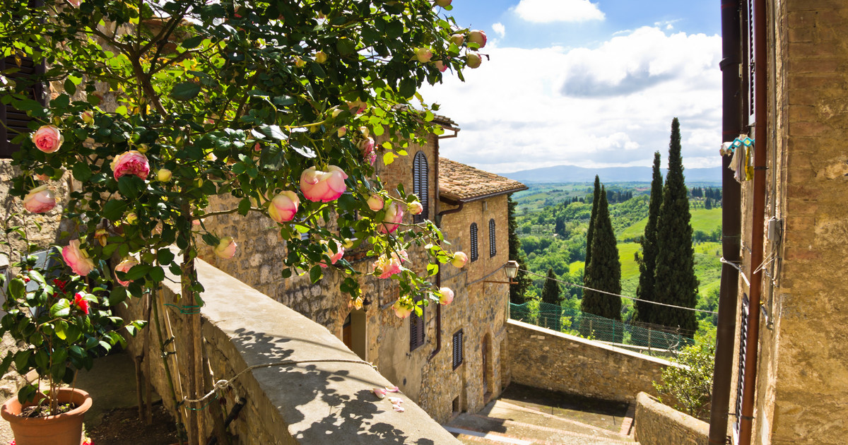 Фото из открытого источника