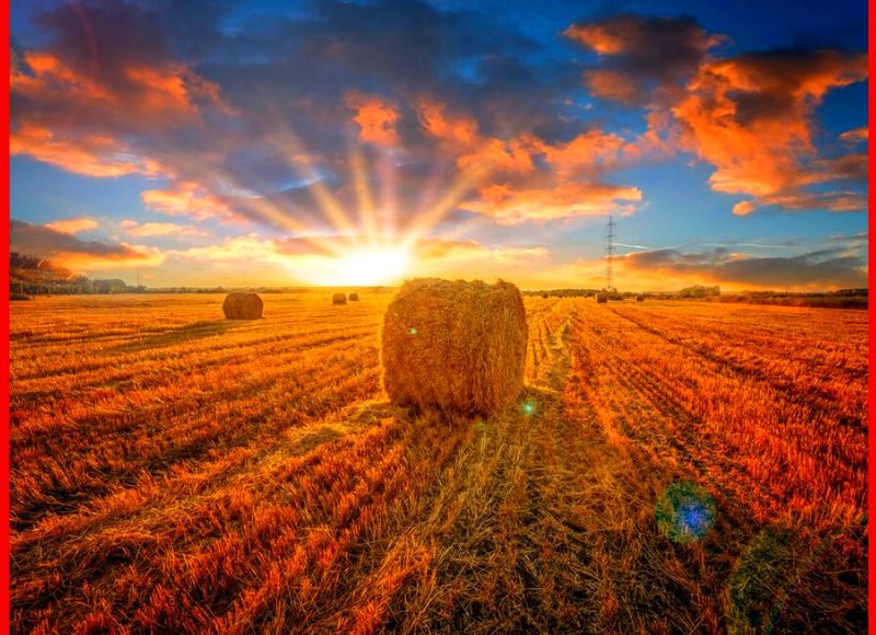 Заготовка соломы, которая нынче на вес золота...