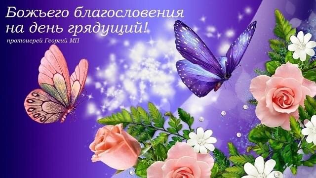 Любите друг друга 