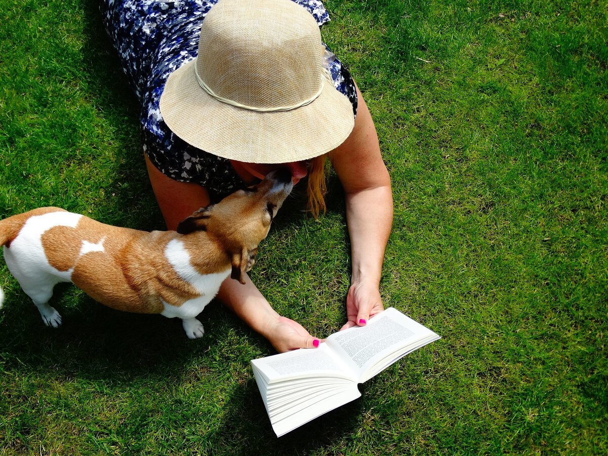 Тест на знание собак. Джек-Рассел-терьер. Собака читает. Дети чтение собаки. Клички для собак Джек Рассел.