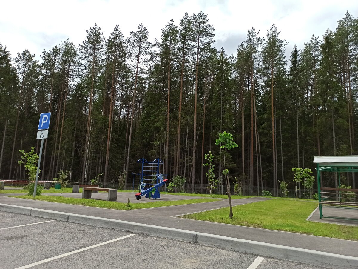 Зона отдыха на М11