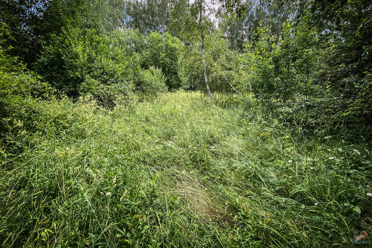 В лесу нашел одинокий заброшенный дом из сруба. Осмотрел и принял решение его восстановить