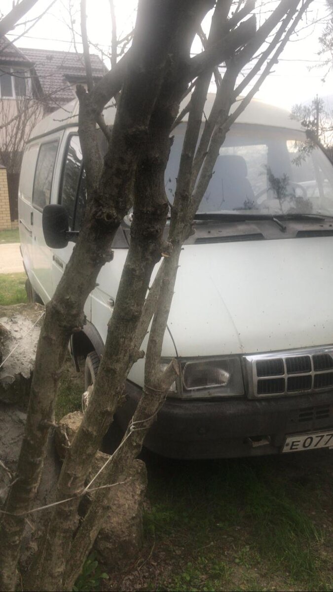 Конь-огонь!