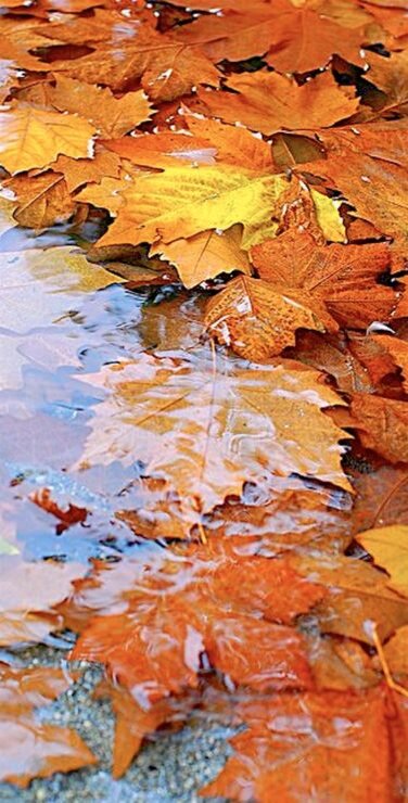 Когда в жизни идет дождь - смотри на радугу. Если стало темно - смотри на звезды🌈💫©