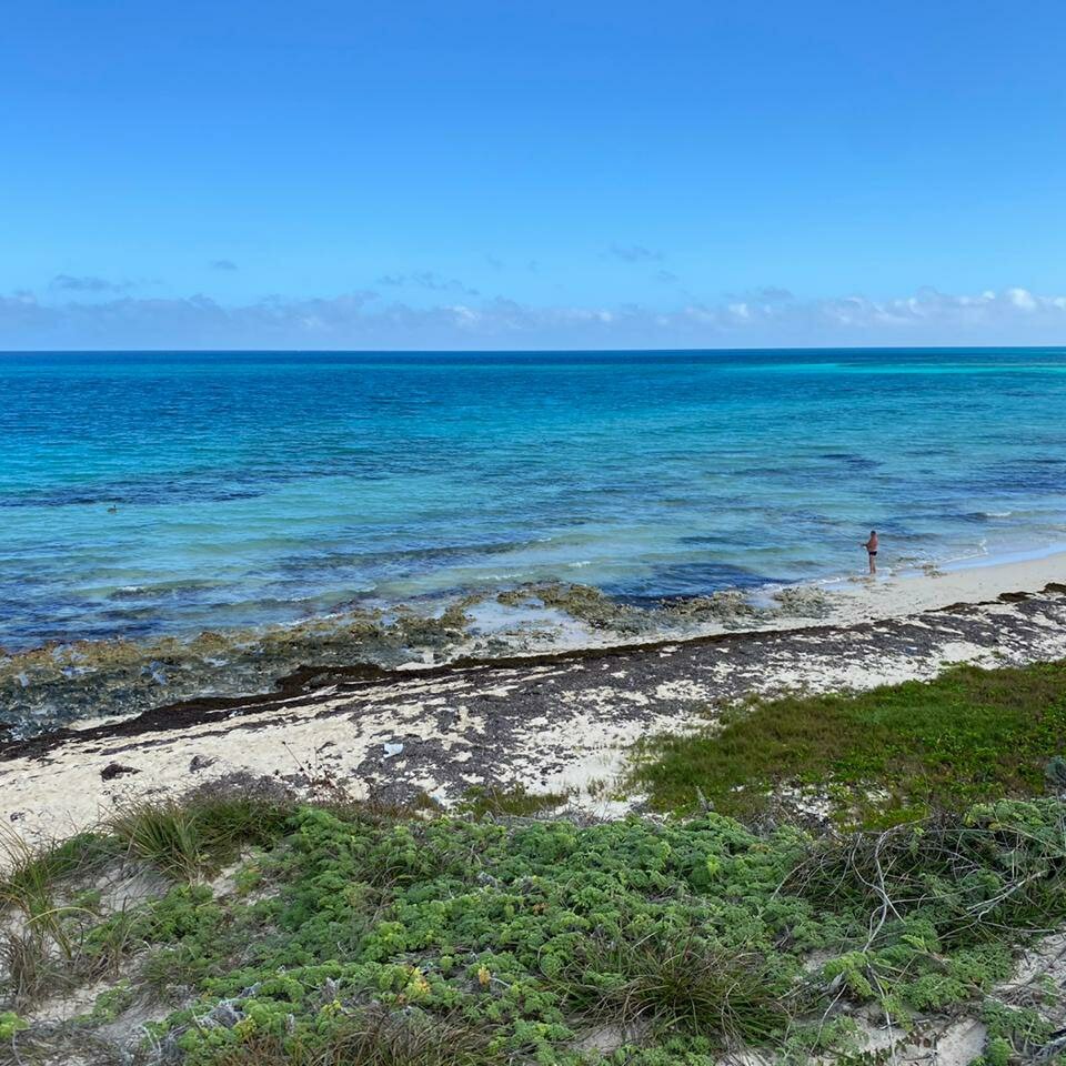 Куба может быть и такая. о. Кайо Коко