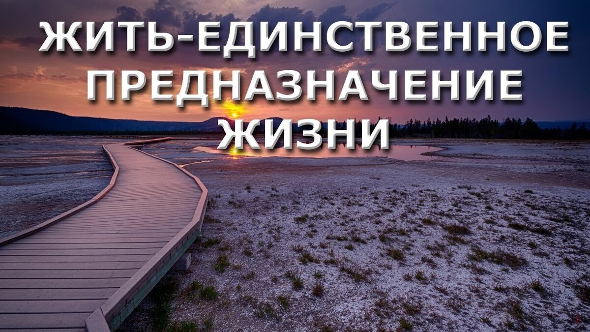 Предназначение в жизни рассчитать. Предназначение в жизни. Жизненное предназначение. Твоё предназначение в жизни. Моё предназначение в жизни.