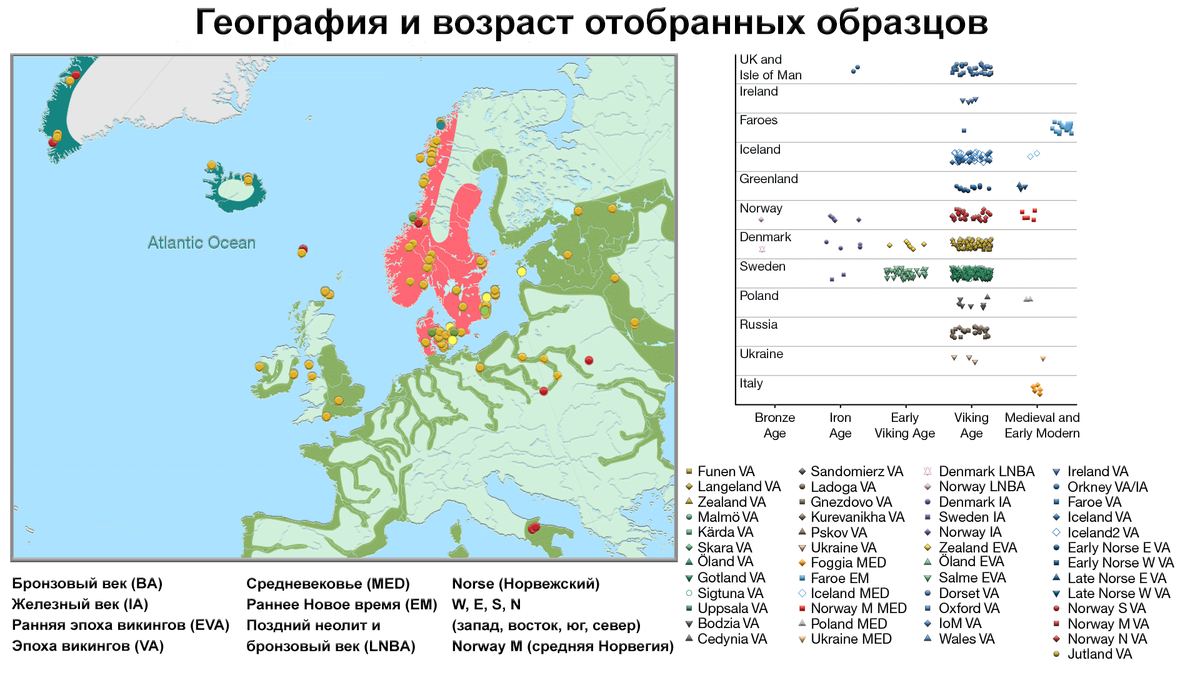 Кем были Викинги с точки зрения генетики | Археология, история, генетика |  Дзен