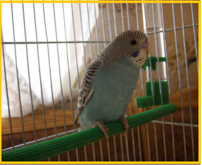 вот как она сидела первые 2 дня, но потом все было хорошо!