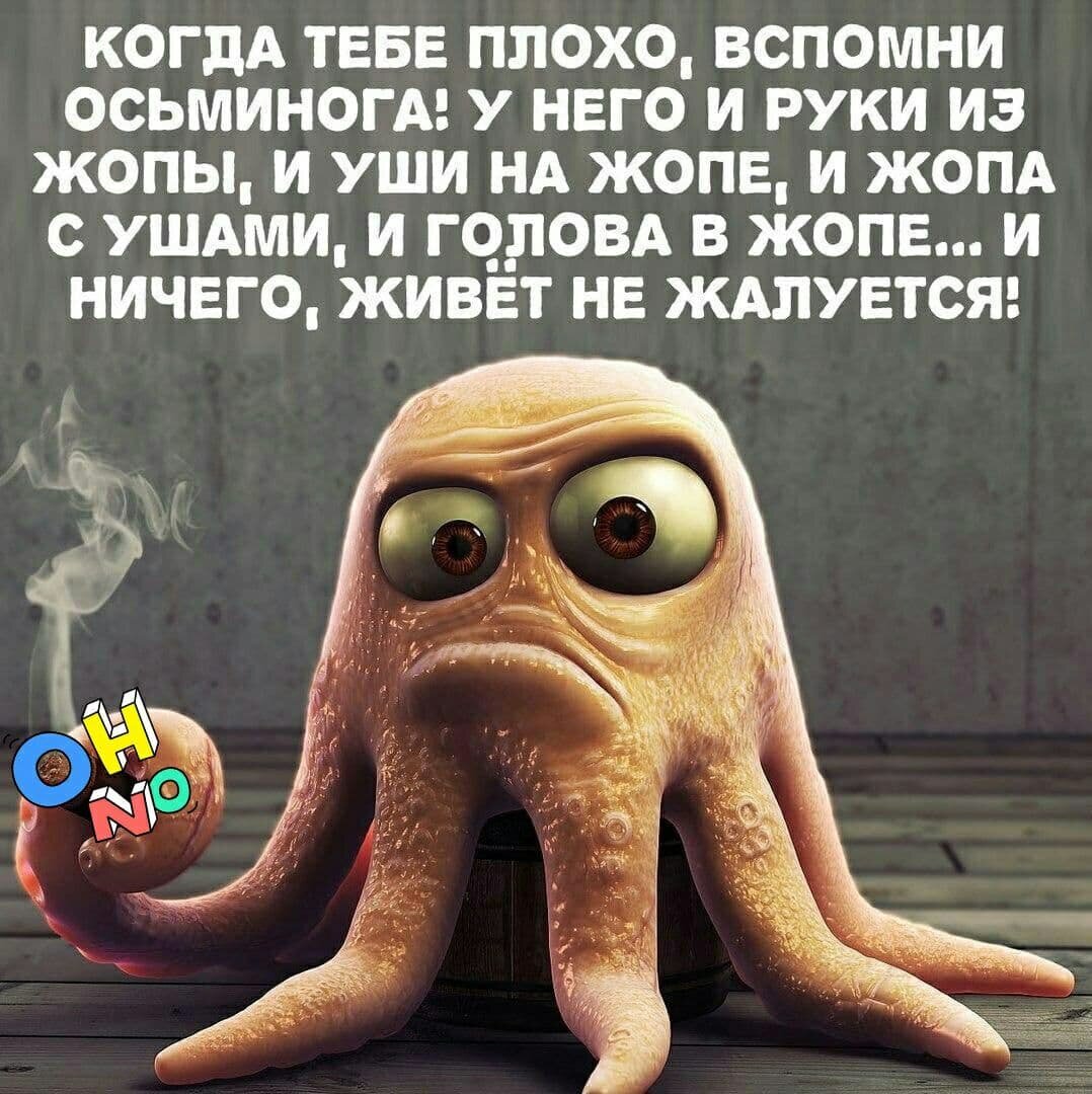 ©перто с просторов интернета