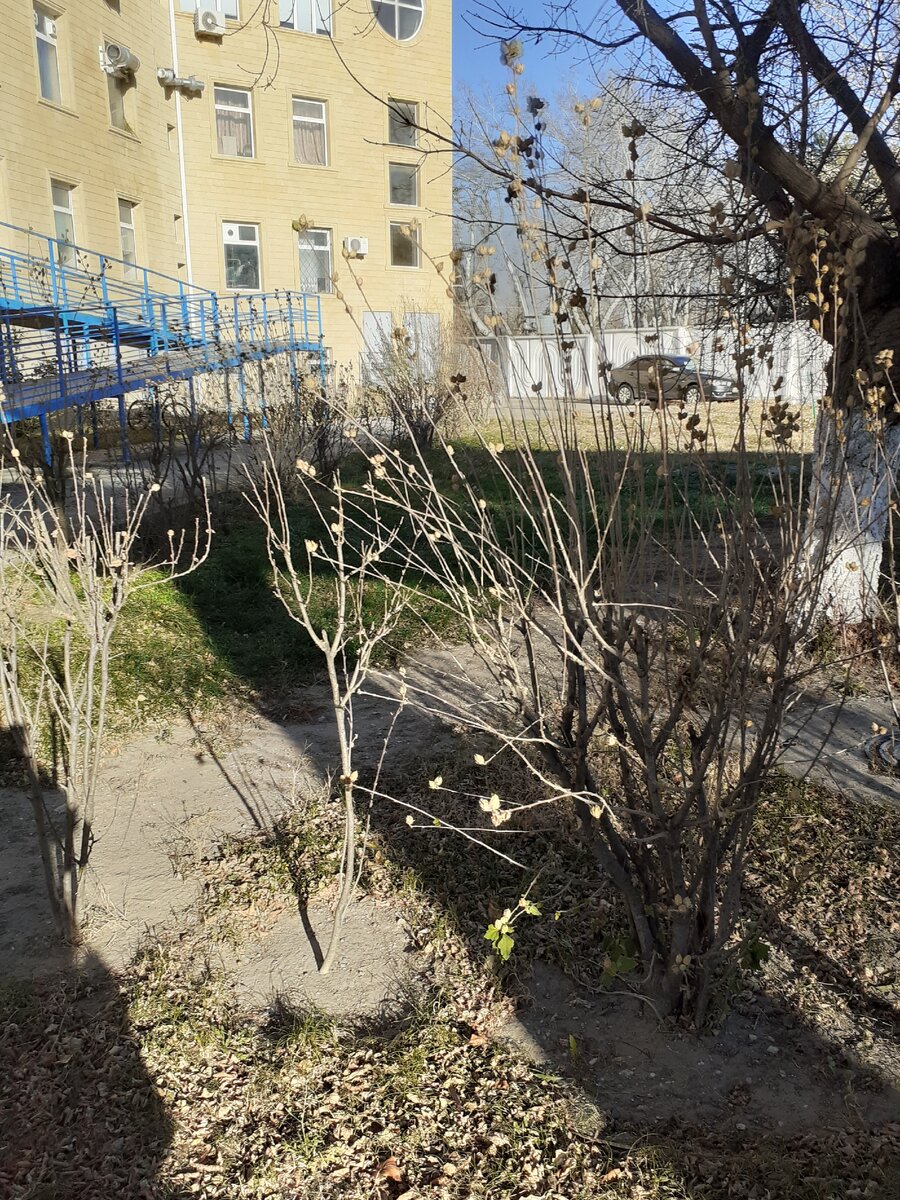 корпус санатория