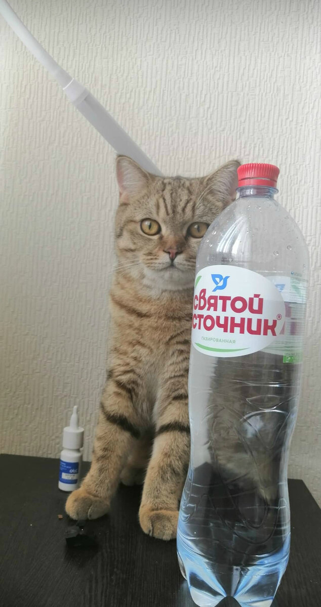 Сенька вырос.