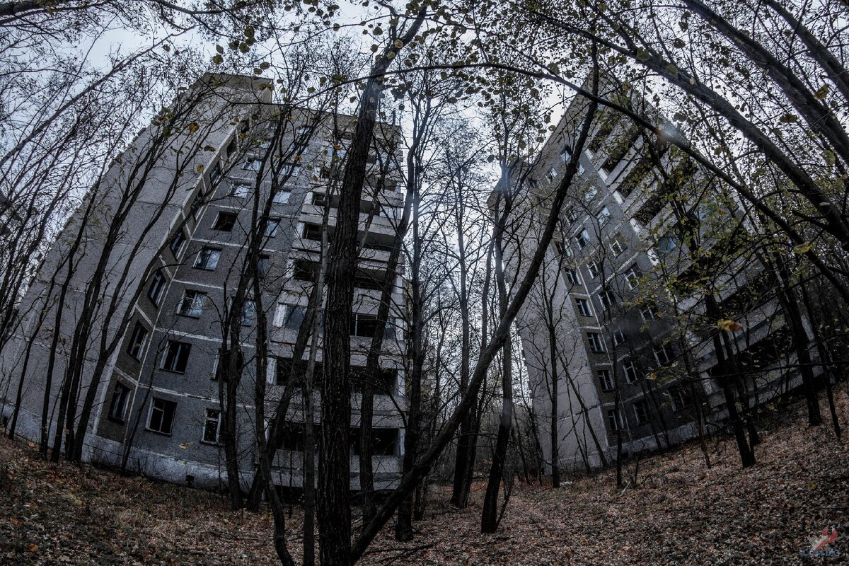 Заброшенные дома.