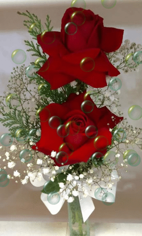 pinterest.com