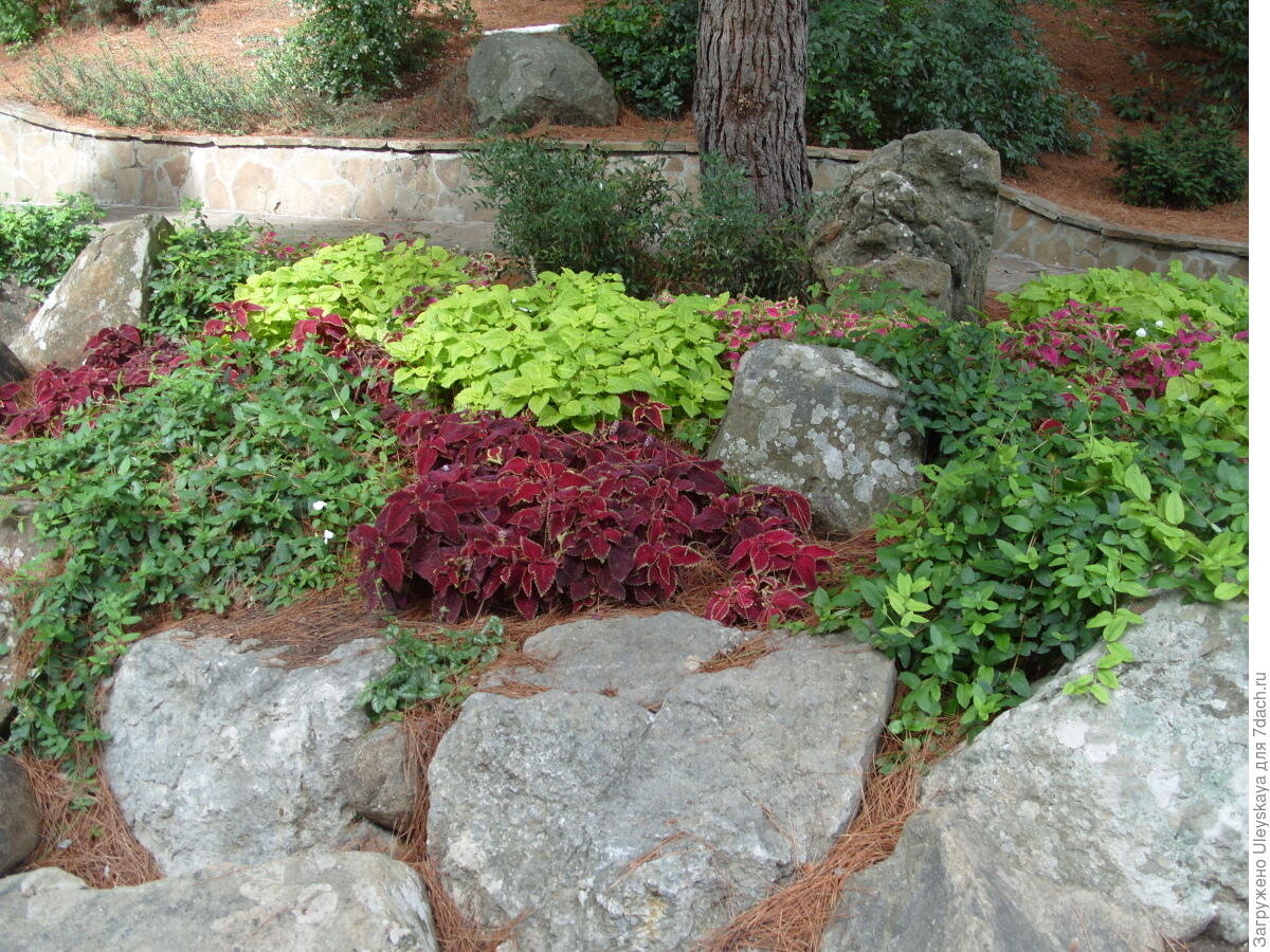 Источник 7dach.ru  ===>