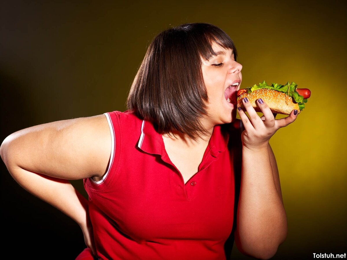 яндекс картинки