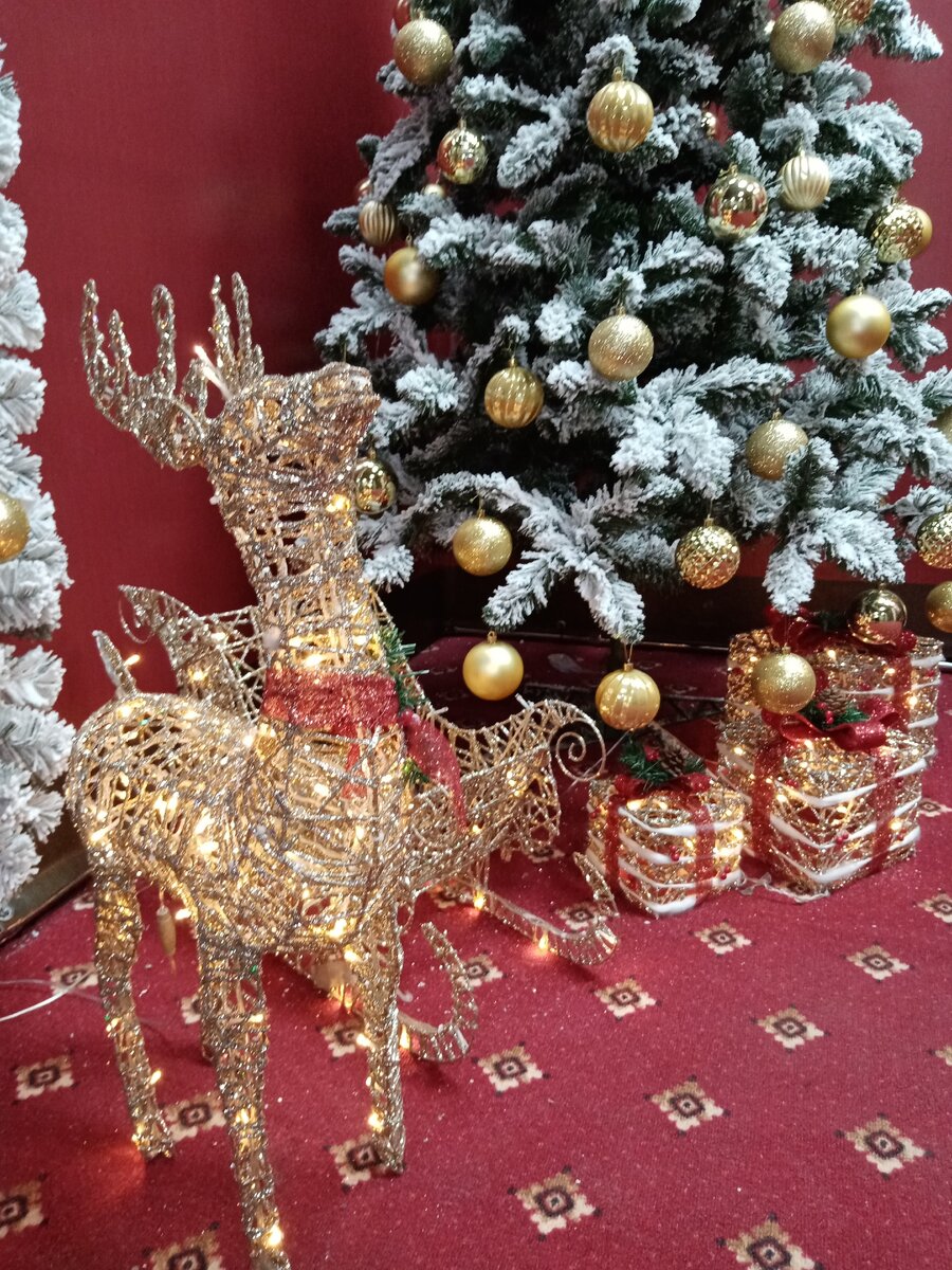 Фото автора. 