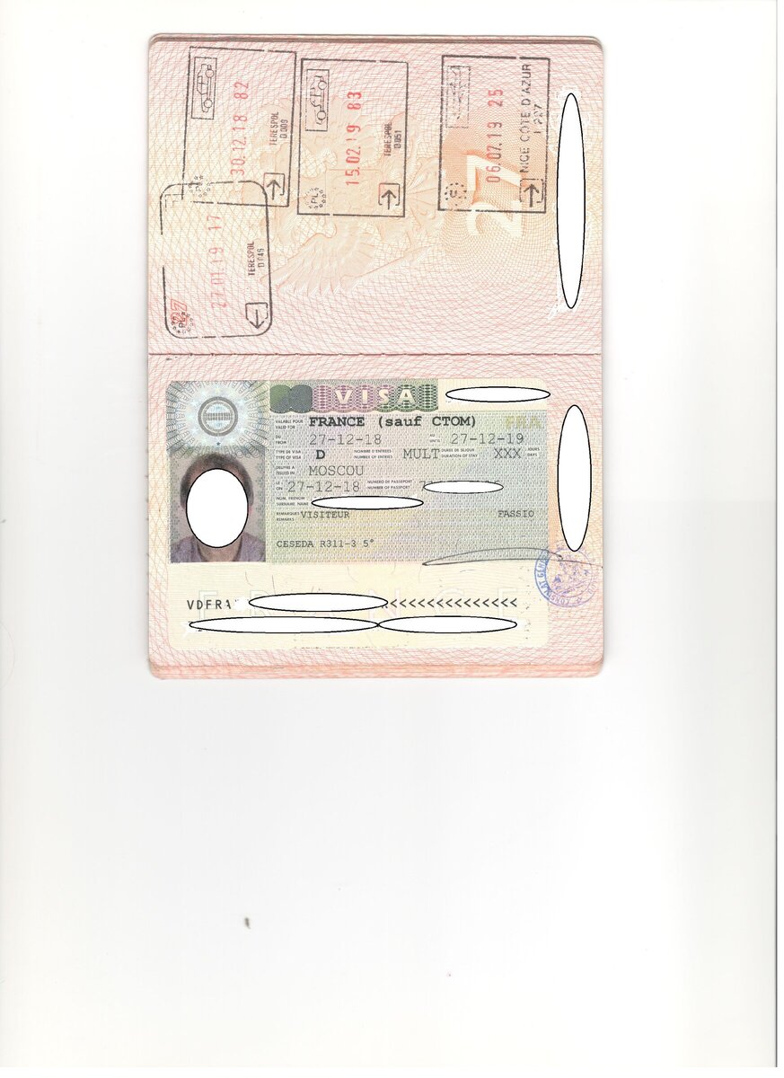 Пример визы D visiteur