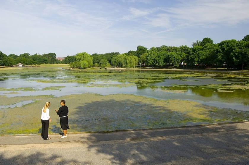 Активный рост зелёных водорослей в водоеме из за чрезмерного содержания азота.