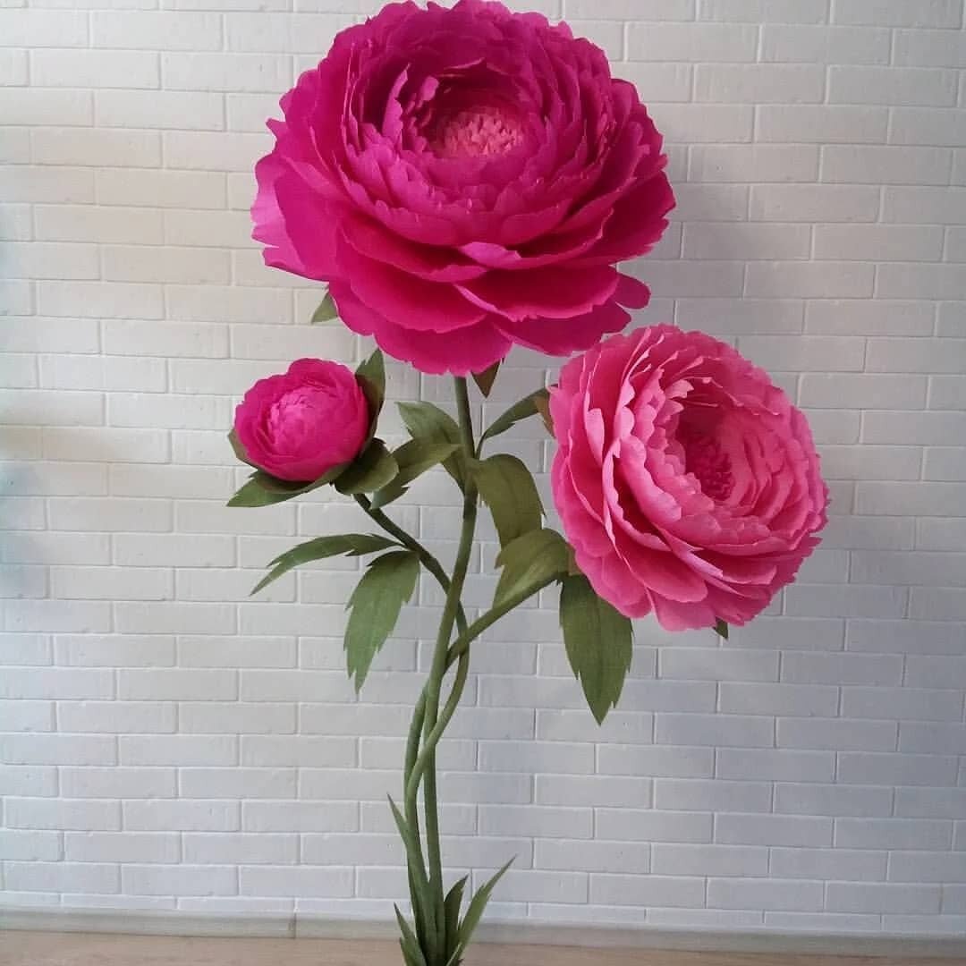 ростовые цветы