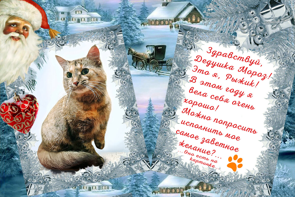 Ведь мечты есть не только у людей, но и животных!...