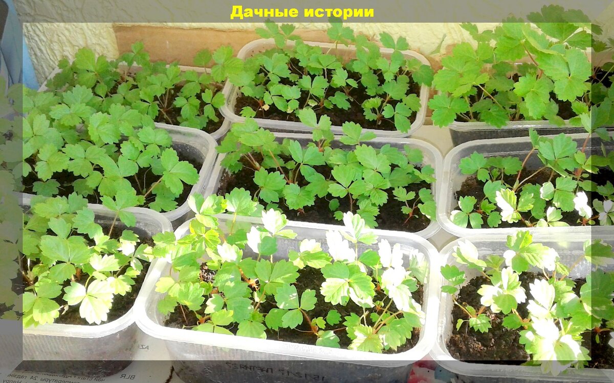 https://vk.com/photo-159774511_457245306