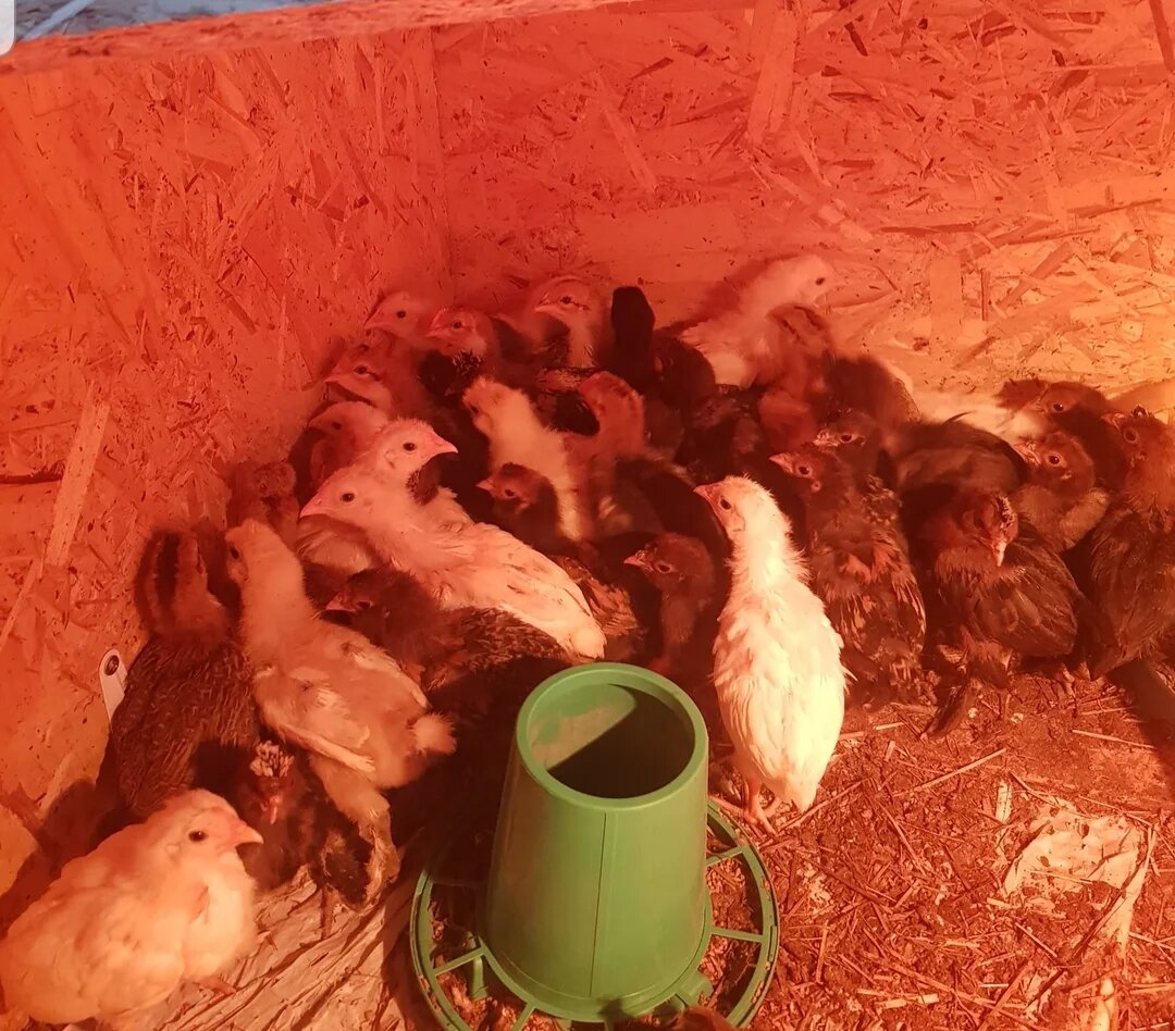 фото автора блога