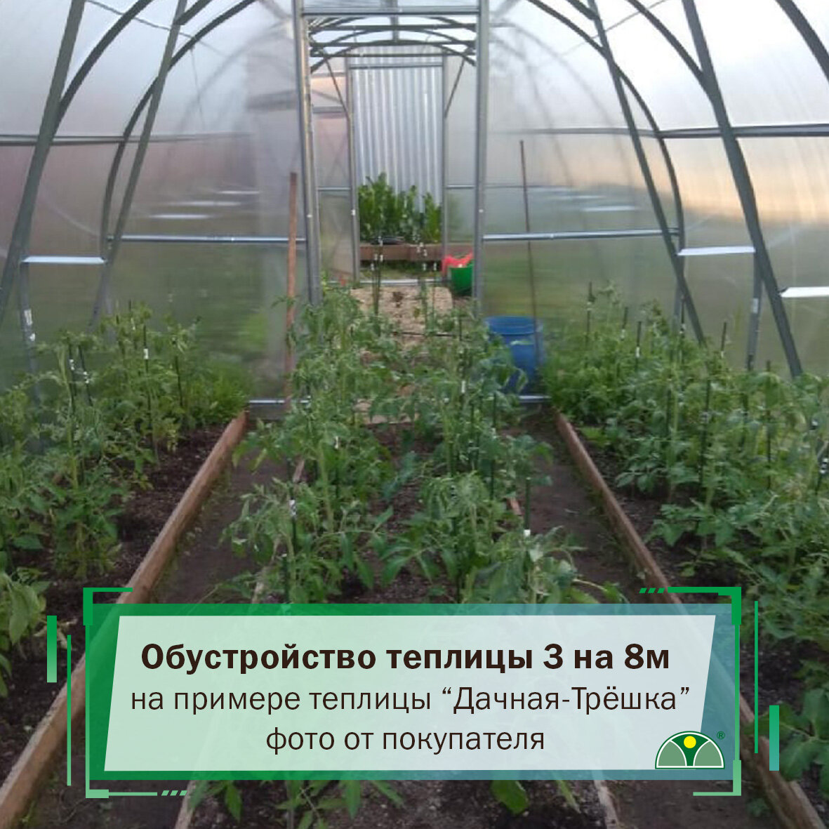 Как сделать теплицу своими руками в домашних условиях из поликарбоната