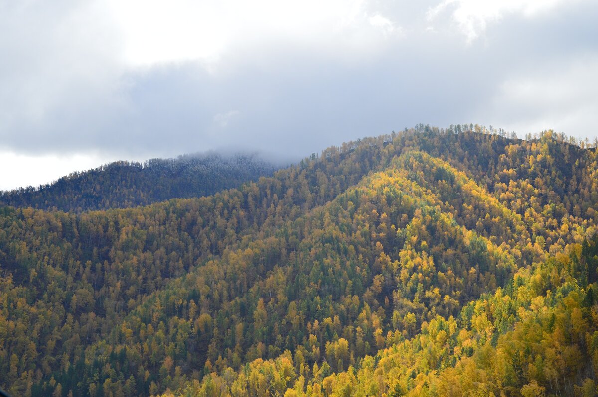 Горный воздух наполнен плотными сосново-кедровыми эфирами. Порой кажется, что он переливается на солнце