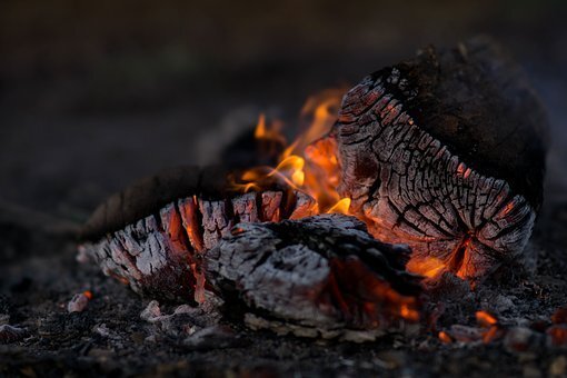 Фото взято с сайта pixabay.com.ru