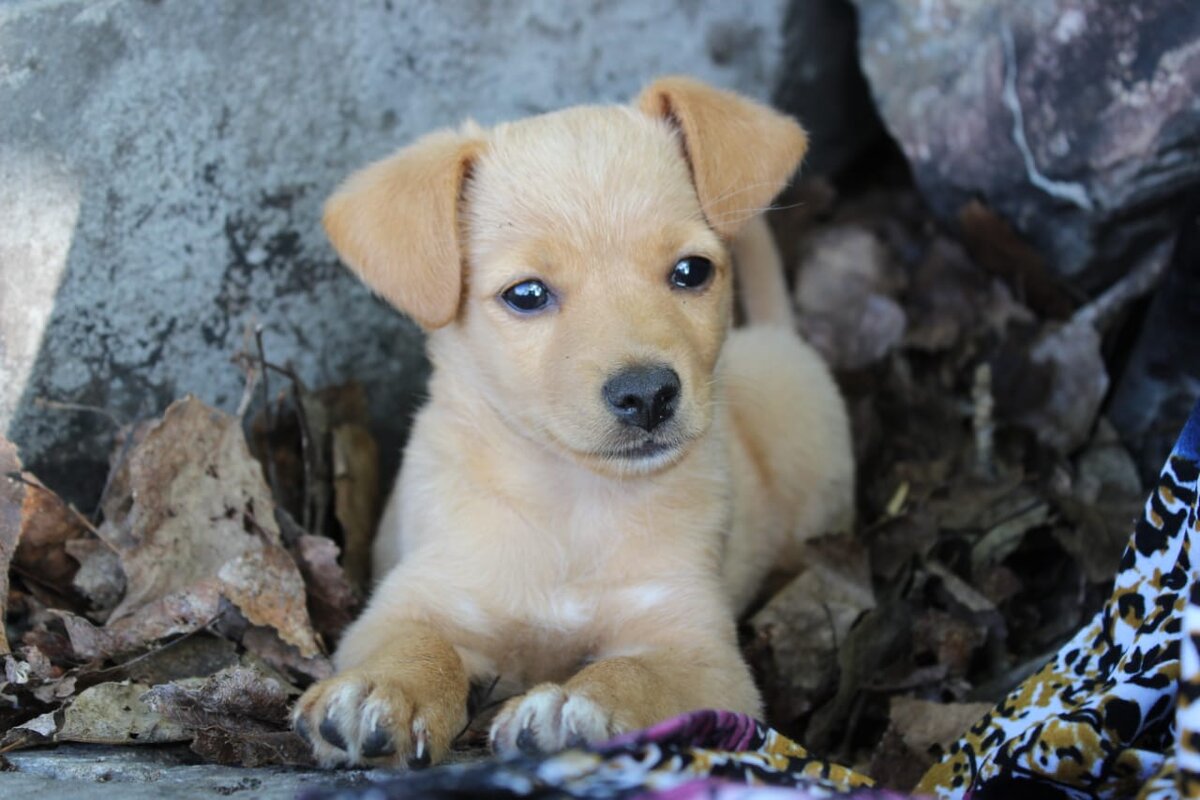 Фото из семейных архивов